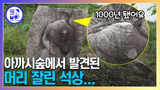 과수원 한복판에 놓인 기묘한 석상의 비밀