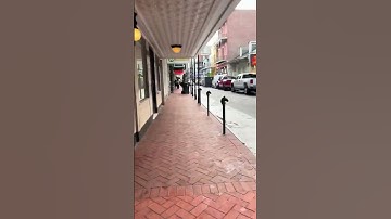 3.1 miles - Day 4 of run streak #Shorts