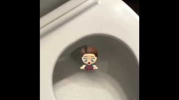 I Flush Myself Down The Toilet