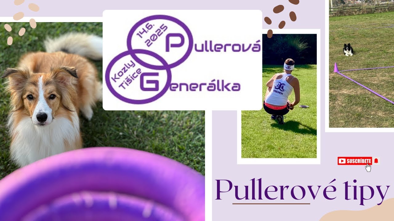 #DOG PULLER | Tipy, vychytávky, rady ROZHODČÍ Dog Pulleru