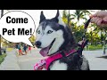 Meeka Goes On Vacation To Miami! (SHE TALKS!) Vlog