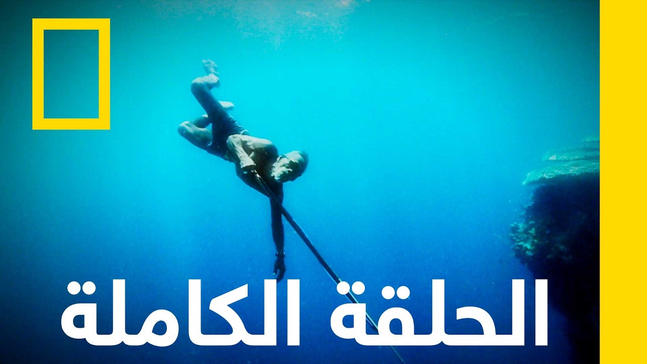 ������� ����������� | ���� ���� ������ ��� ��� ������ �� ������ | ������� ��������� ������
 - نشر قبل 32 دقيقة