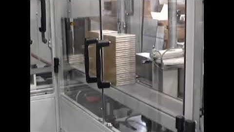 Custom Automated Machines Design-Build