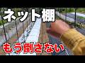 【家庭菜園】台風でも微動だにしない最強棚の作り方!この立て方にしてからは、強風でも安心していられる