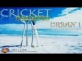 Icc world twenty20 cricket paradise song urban i