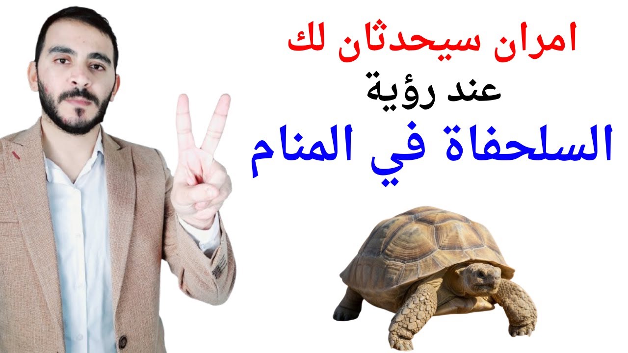 امران سيحدثان لك عند رؤية السلحفاة في المنام l تفسير حلم رؤية السلحفاة والسلاحف في المنام بالتفصيل