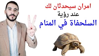 امران سيحدثان لك عند رؤية السلحفاة في المنام l تفسير حلم رؤية السلحفاة والسلاحف في المنام بالتفصيل screenshot 3