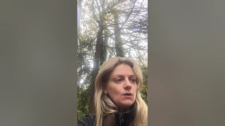 Rachel Vance - "Yard Work"