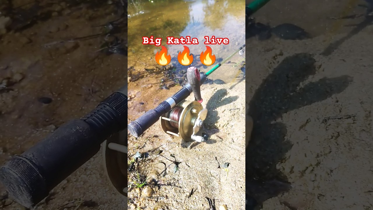 live Hooked big katla😱😱😱