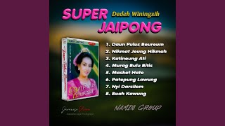 Download Lagu Daun Pulus Beureum (Dedeh Winingsih) Download Lagu Daun Pulus Beureum (Dedeh Winingsih)