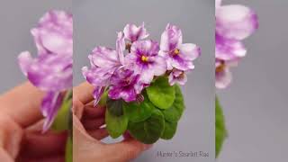 крохотные фиалки #фиалки #фиалка #цветы #милашка #violetevergarden