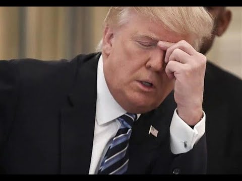 🚨 Democrats poised to FLIP key states