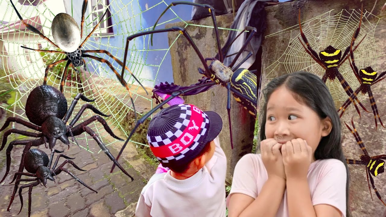 Охота на лучших пауков в Ароун Хаус!! Ловля гигантских золотых пауков и пауков-крестовиков вместе...