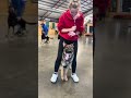 Outtakes From Our Group Class Training @ProtectionDogSales Fun Happy Dog Learning Life Skills PDS