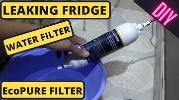Fridge Water Filter Leaking Water. How to Replace with ECO PURE Inline fridge filter.