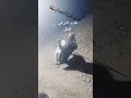 ياخ معقوله ياناس السعوديه ياخ معقوله ياناس السعوديه