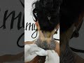 татуировка птица феникс / phoenix bird tattoo / 鳳凰鳥紋身