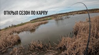 ЛОВЛЯ КАРПА НА КЛАССИЧЕСКИЙ ФИДЕР В АПРЕЛЕ |  ВЕСЕННИЙ КАРП | РАДИЩЕВСКИЙ ПРУД