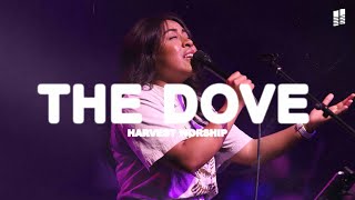 Download Lagu The Dove | Cover by Harvest Worship MP3