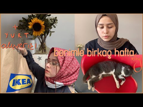 istanbul’a taşınmalı, yurt alışverişli vlog | benimle birkaç hafta