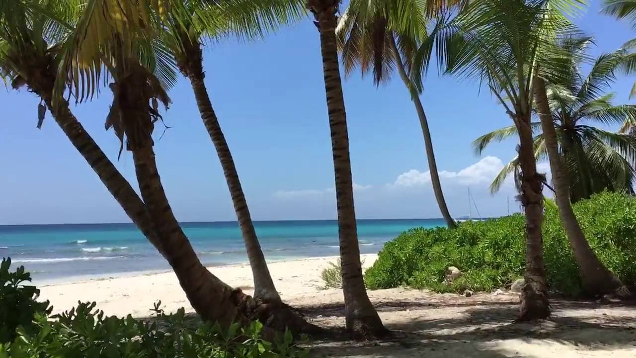 La isla Saona , acá se filmó "La laguna azul " - YouTube