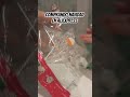 ASMR compras navideñas #aliexpress #shortvideo #navidad #asmrsounds #newarrivals #shoppingvlog