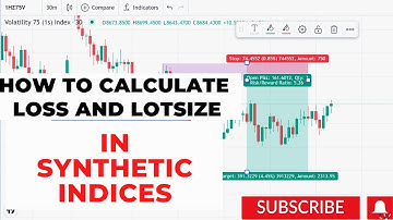 HOW TO CALCULATE LOSS AND LOTSIZE SYNTHETIC