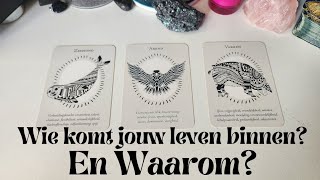 Wie Is De Volgende Persoon Die Jouw Leven In Komt, En Waarom? Kies Een Kaart Tarot Lezing