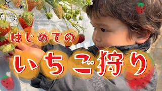 【お出掛け】はじめてのいちご狩り