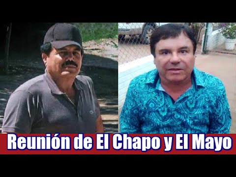 Las reuniones de El Chapo y El Mayo