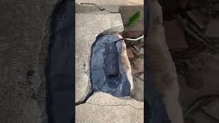 This house is water proof #shortsfeed #swimusa #viral #automobile
