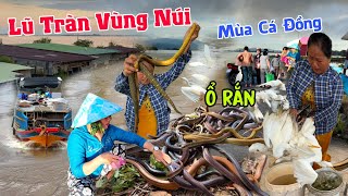 Đây Đó An Giang