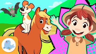 mammals for kids characteristics and fun facts