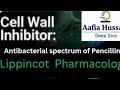 Antibacterial Spectrum of Penicillin | Cell Wall Inhibitor| Pharmacology Made Easy | Lippincott
