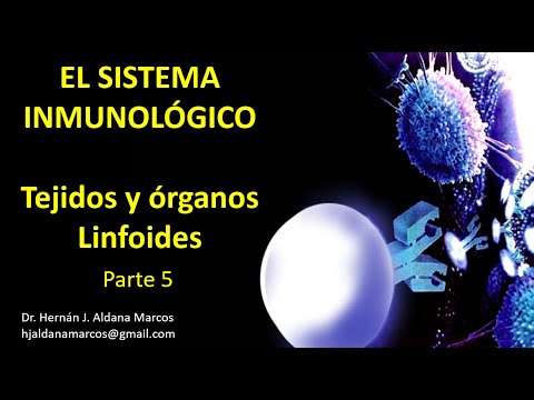 Sistema inmune específico. Tercera línea de defensa. Video 5 de 7. Hernán Aldana