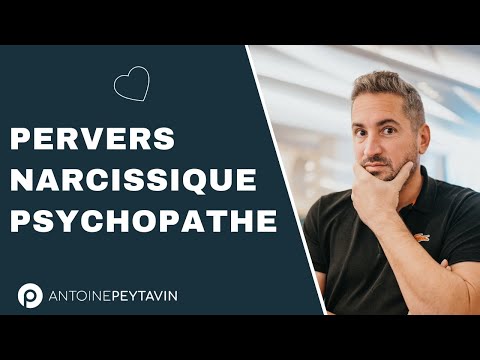 Vidéo: À Propos Des Groupes « STOP Narcissique, Psychopathe ». Et Quelques Réflexions Sur La Thérapie Narcissique