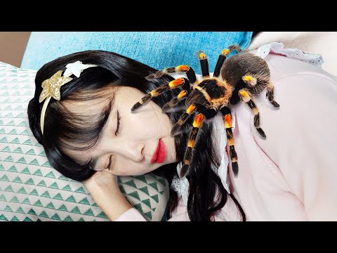 으악! 거대한 거미가 유라를 쫓아 와요! Clap your hands giant spider story