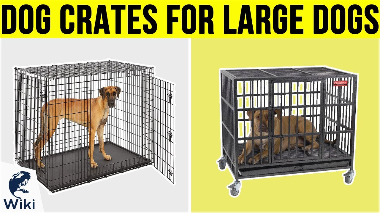 best crates for big dogs