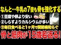 骨と筋肉、股関節を10年若返らせ、寝たきりを防ぐ最強食品TOP10【ゆっくり解説】
