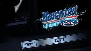 Electric Vehicles in Stock! |  Brighton Ford Brighton Ford S Ev Team