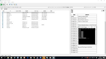 C Language port scanner