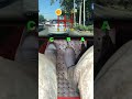Follow me to learn car tips and tricks every day! #automobile
