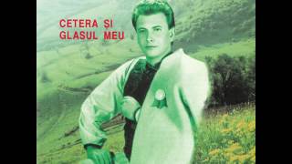 Video thumbnail of "Dragostea-i o boală mare - Nicolae Furdui Iancu"