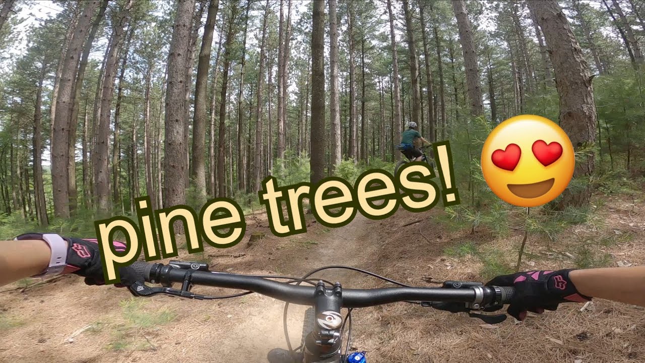 Palgrave Forest and Wildlife Area 2020 || Mountain Biking - YouTube