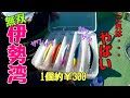 コスパ最強ルアーで青物爆釣！！無双状態【伊勢湾】愛知釣り！南知多！知多半島！fg