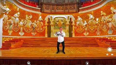 Augmented Reality Concert at Home - Hoverlay