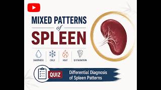 Mixed Patterns of Spleen | Quiz on All Spleen Patterns | Differential Diagnosis in TCM screenshot 5