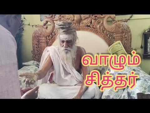 அருள்வாக்கு சொல்லும் சித்தர்