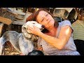WOMAN RISKS HER LIFE TO SAVE HUNDREDS OF DOGS FROM THE FLOODS!!!