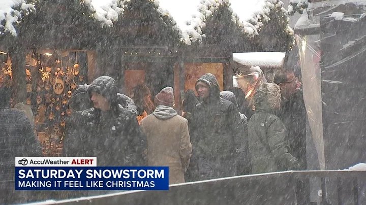 Some tourists and holiday shoppers enjoy Chicago snowstorm